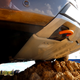 Image for article titled The Ford F-150 Tremor Is A Tougher-Looking F-150 That Can Handle Moderate Off-Roading